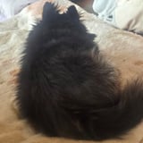 user's Avatar
