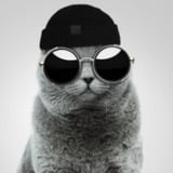 user's Avatar