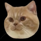 JaxonJaxonJaxonJaxonJaxon Ou's Avatar