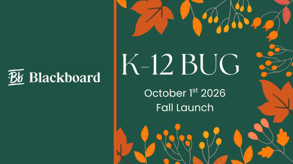 Thumbnail of the file K-12 BUG.pdf