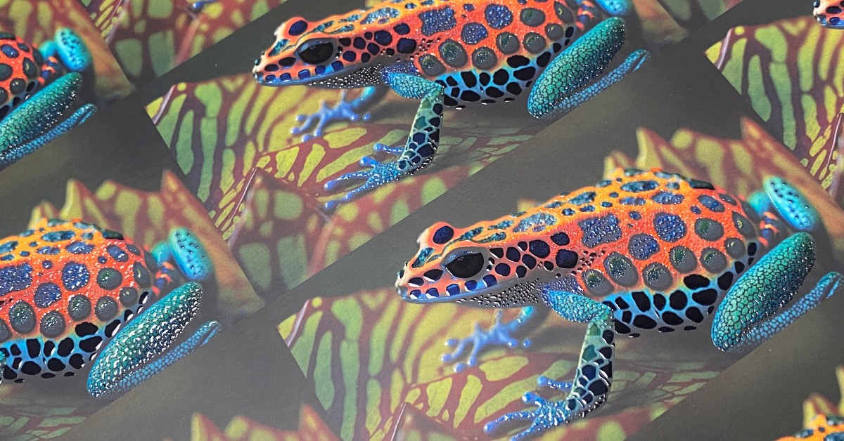Elevate Your Print: Unlocking the Power of Raised Spot UV
