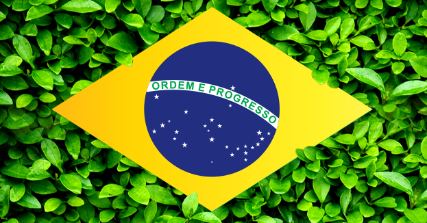 Sustentabilidade: da teoria à prática