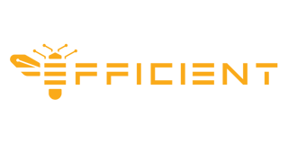 Efficient Computer