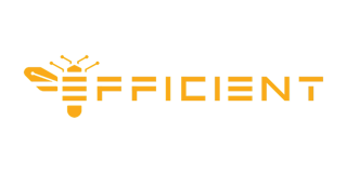 Efficient Computer