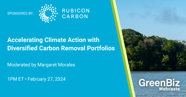 Accelerating Climate Action with Diversified Carbon Removal Portfolios