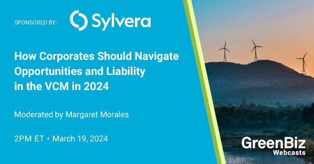 How Corporates Should Navigate Opportunities and Liability in the VCM in 2024