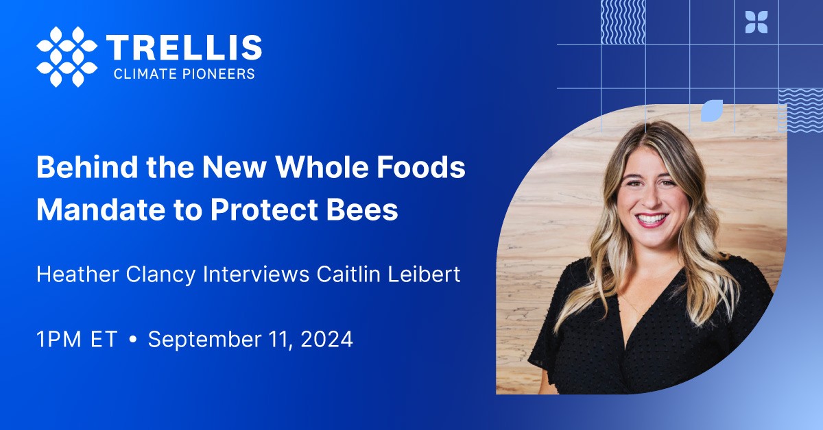 Behind the New Whole Foods Mandate to Protect Bees