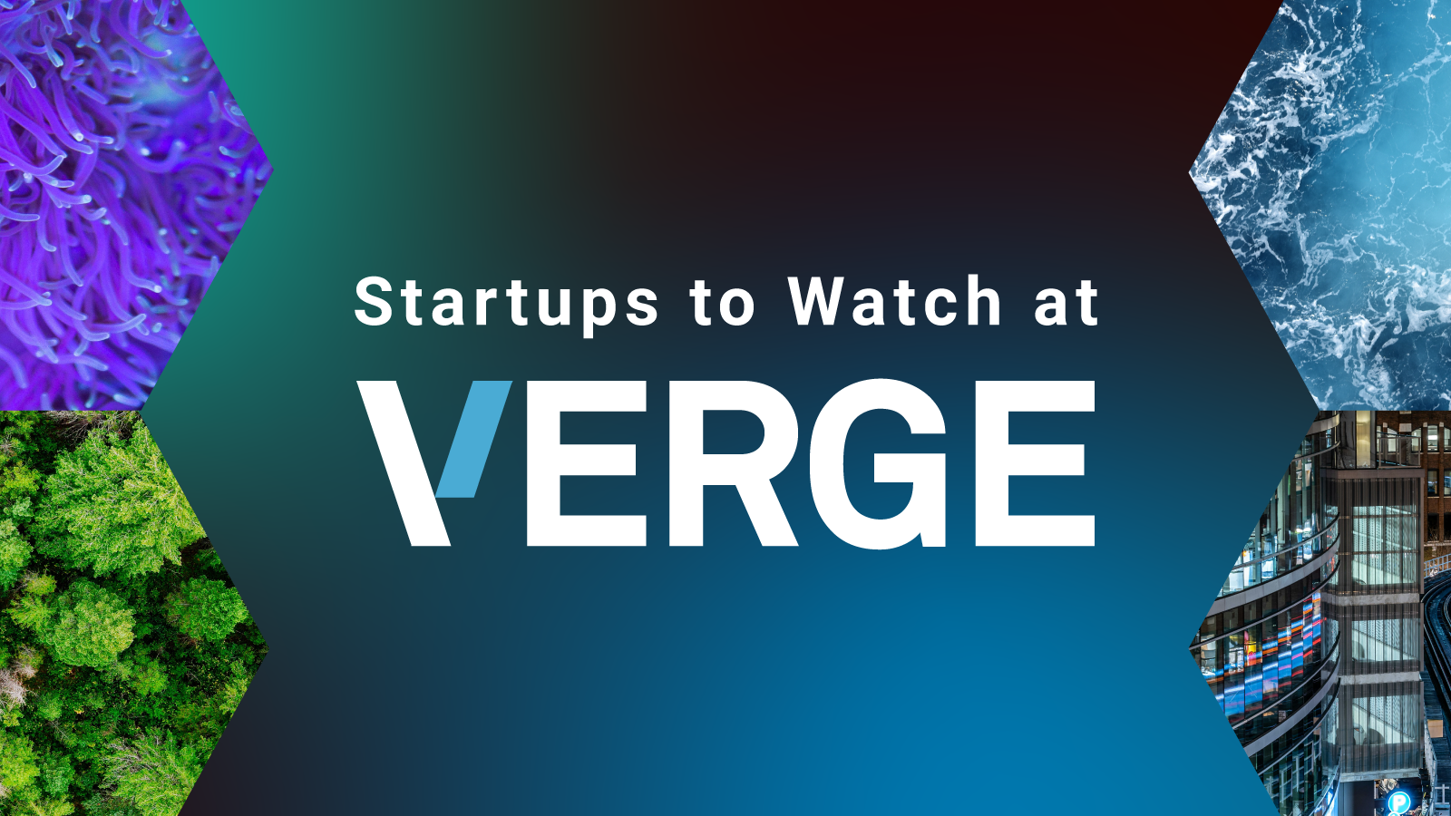 Apply to Startups to Watch at VERGE 24!