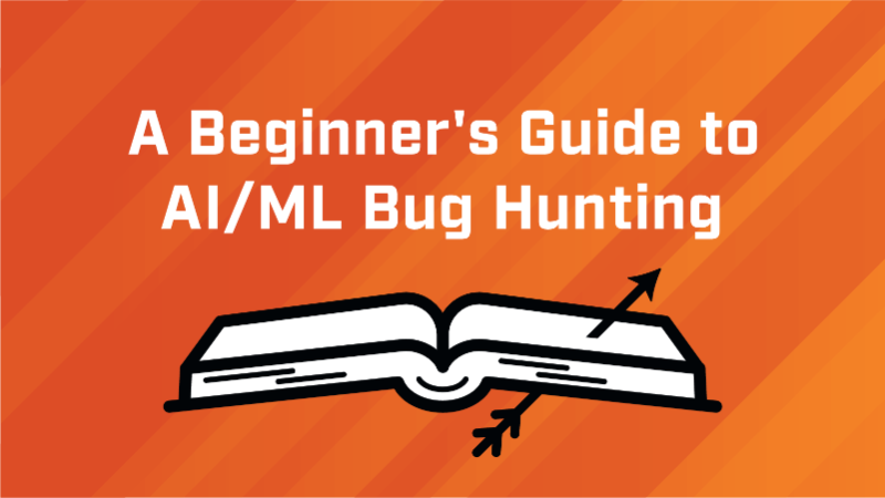 A Beginner's Guide to AI/ML Bug Hunting