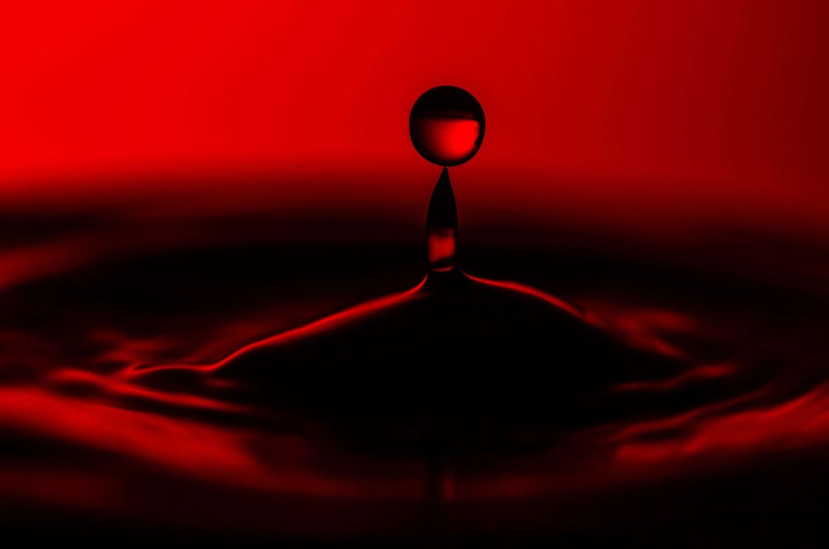 MLOps New Tool Tuesday Roundup