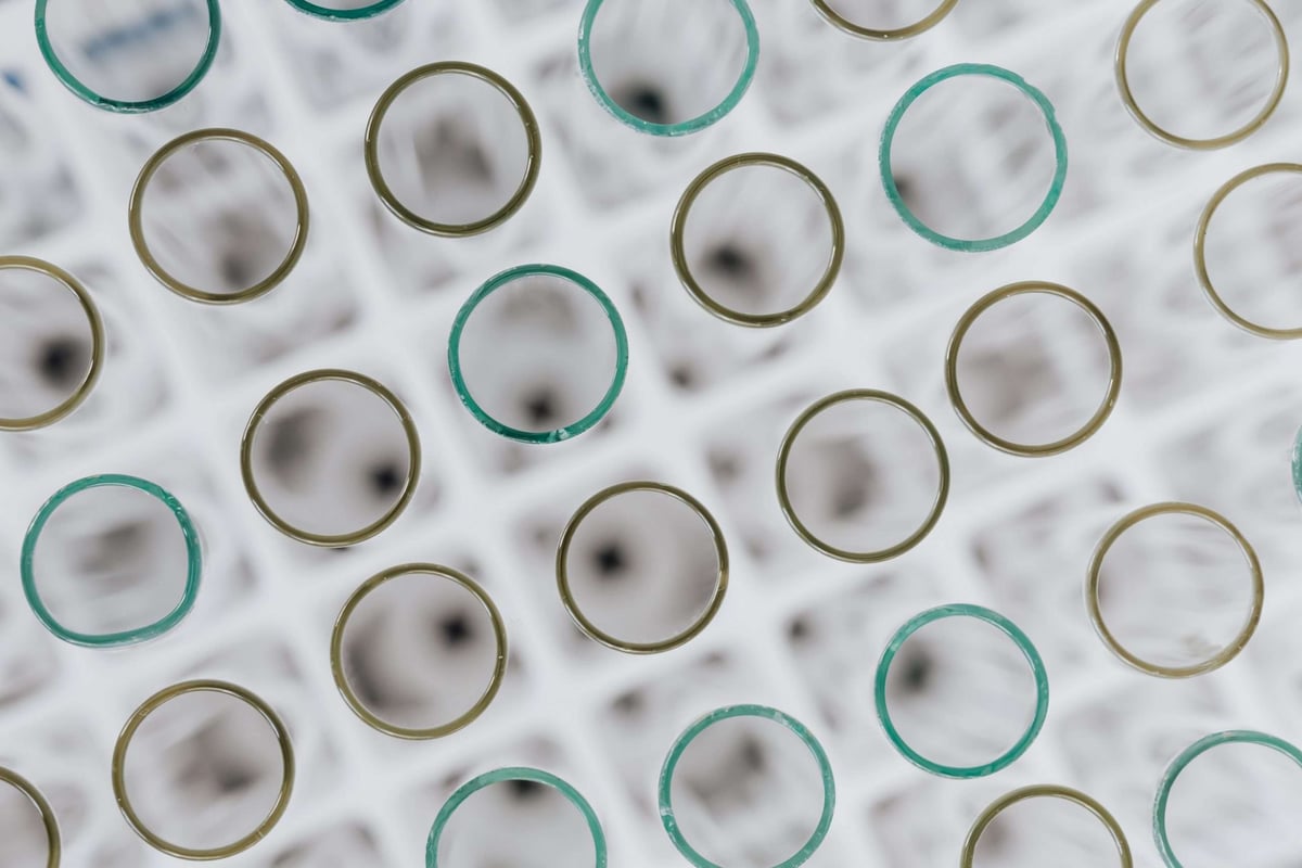 Drug Discovery with Deep Learning at Recursion