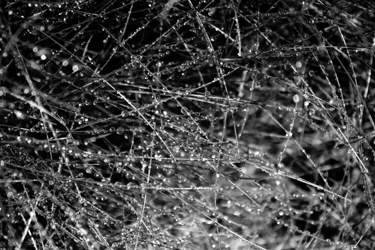 Building a Machine Learning Pipeline With DBT