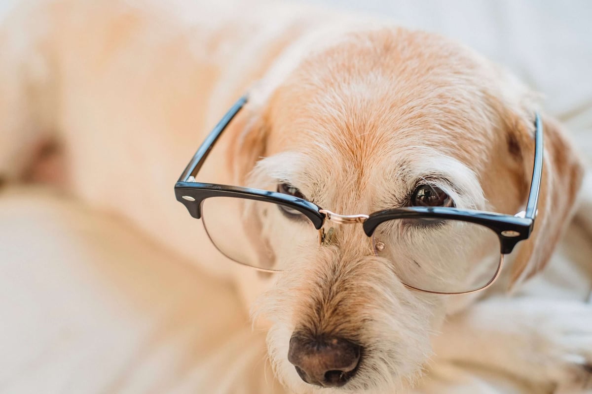 5 Principles You Need To Know About Continuous ML Data Intelligence