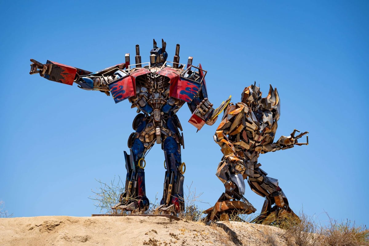 Explainable AI: Visualizing Attention in Transformers