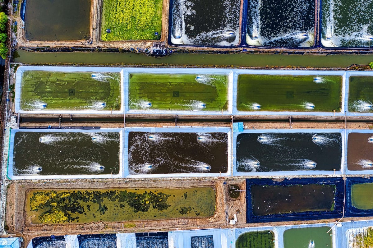 Traceability & Reproducibility