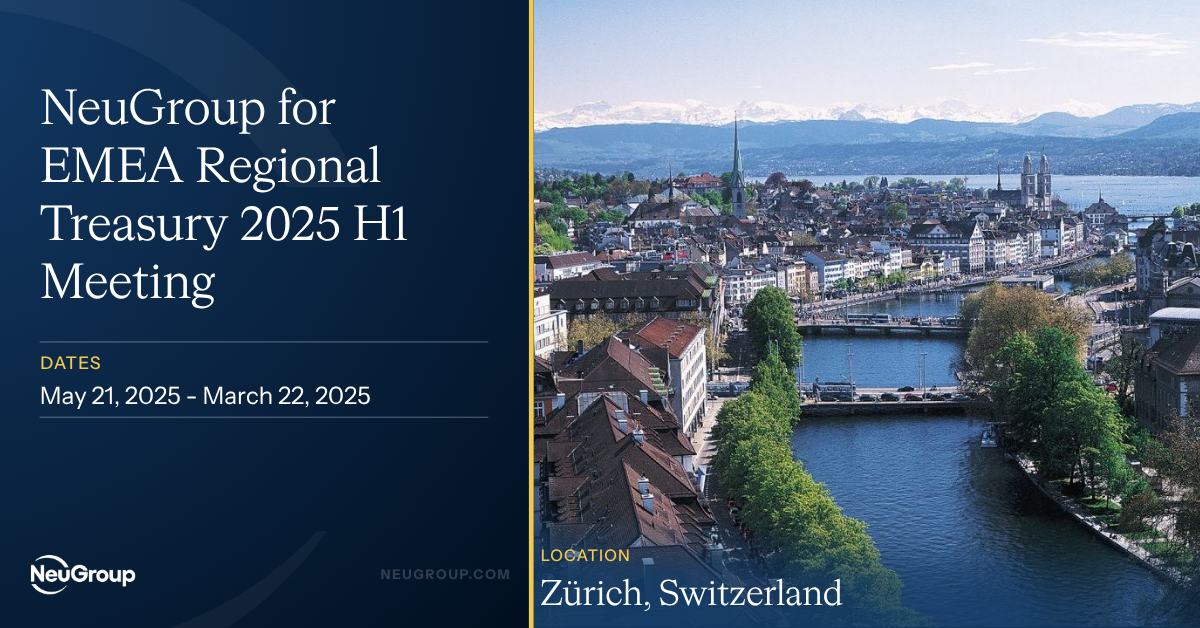 NeuGroup for EMEA Regional Treasury 2025 H1 Meeting