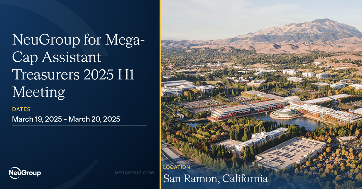NeuGroup for Mega-Cap Assistant Treasurers 2025 H1 Meeting