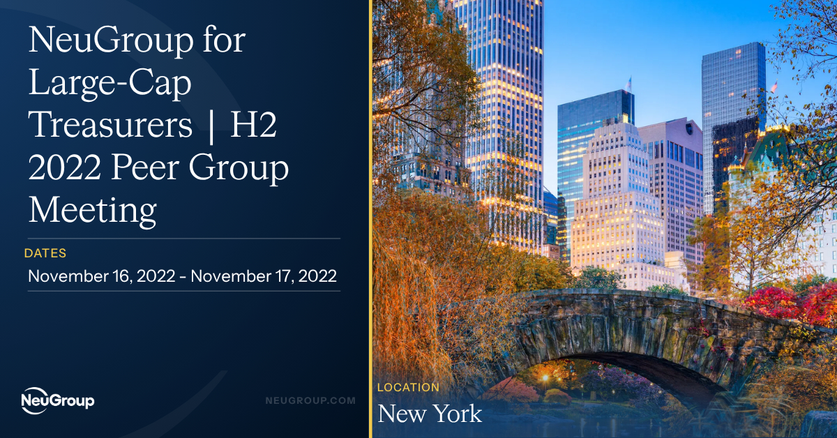 NeuGroup for Large-Cap Treasurers | H2 2022 Peer Group Meeting