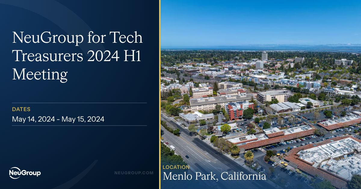 NeuGroup for Tech Treasurers 2024 H1 Meeting