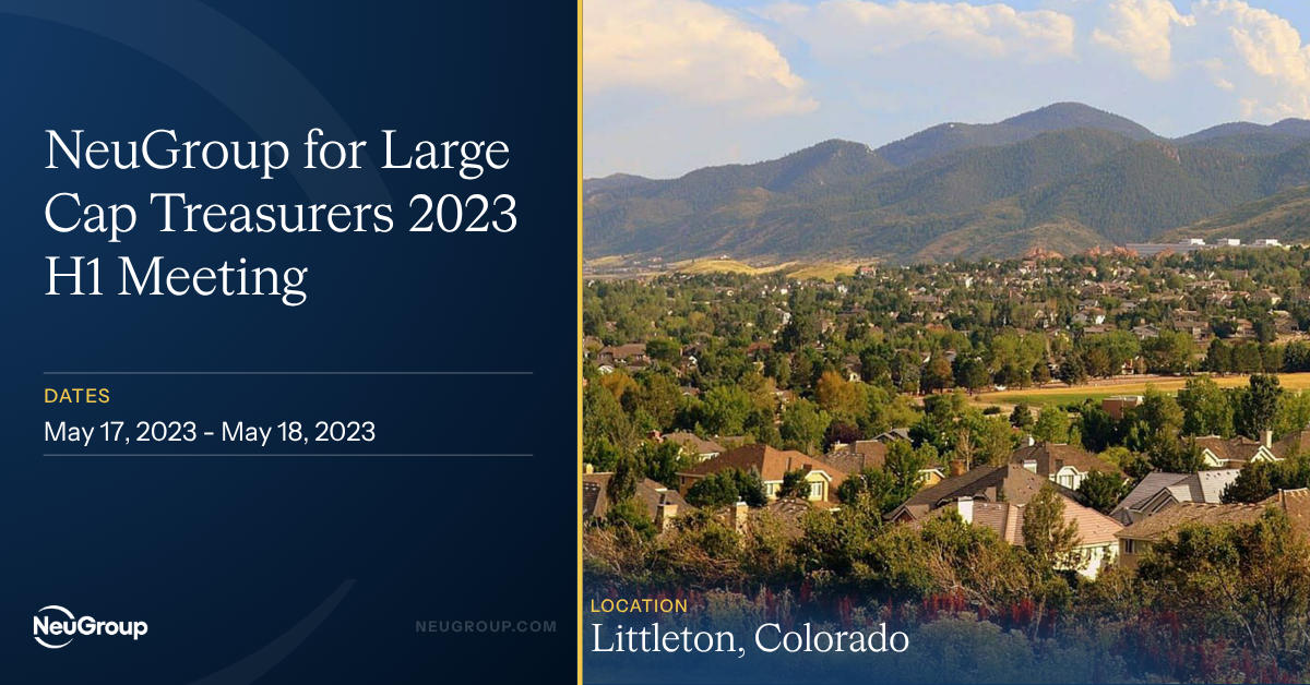 NeuGroup for Large Cap Treasurers 2023 H1 Meeting