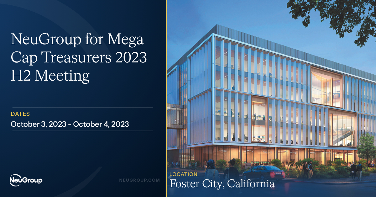 NeuGroup for Mega Cap Treasurers 2023 H2 Meeting