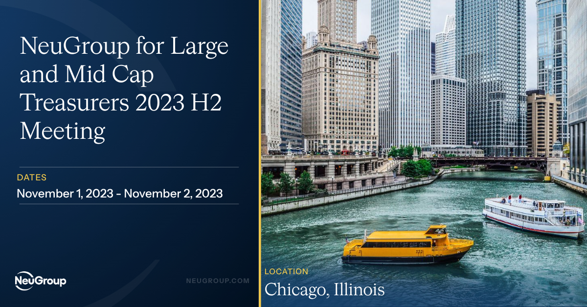 NeuGroup for Large and Mid Cap Treasurers 2023 H2 Meeting
