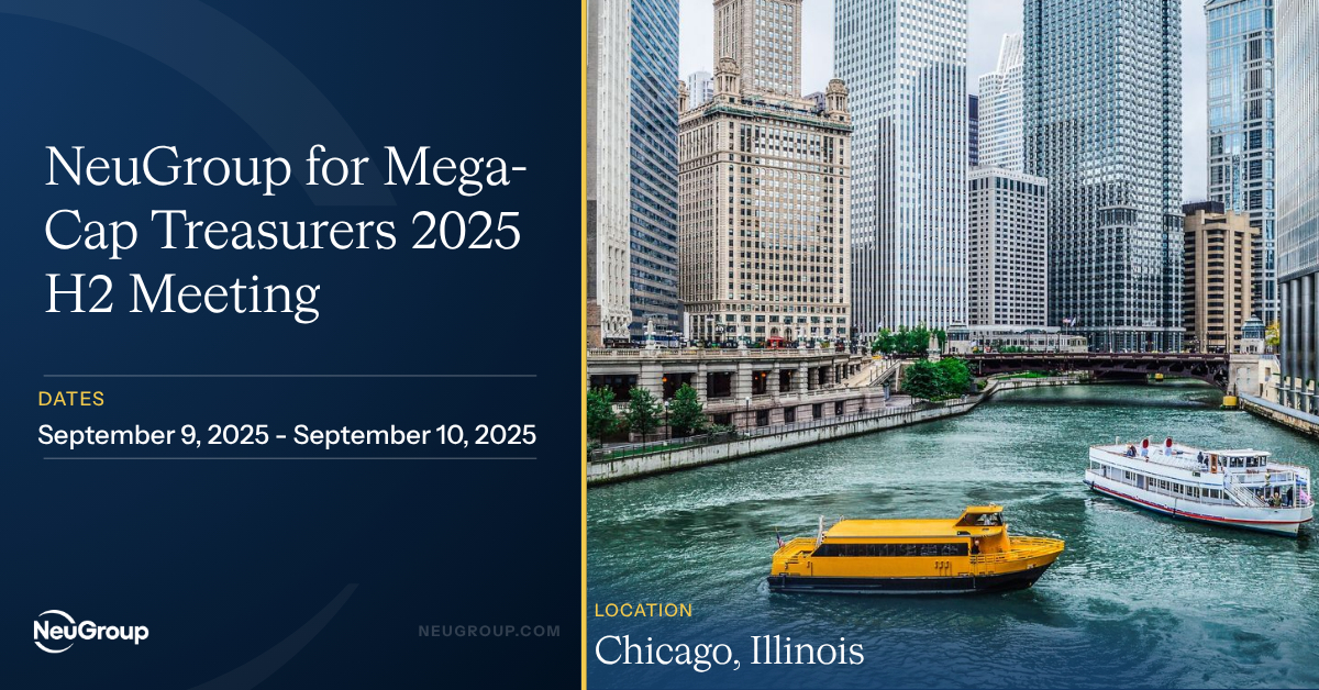 NeuGroup for Mega-Cap Treasurers 2025 H2 Meeting