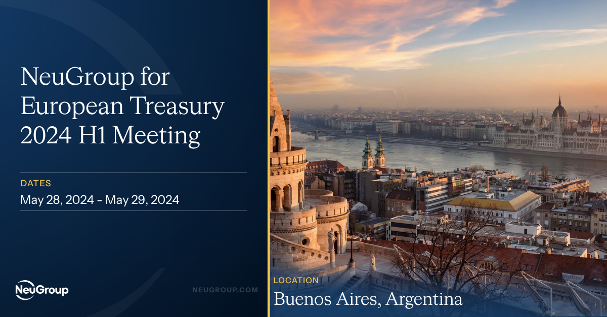 NeuGroup for European Treasury 2024 H1 Meeting