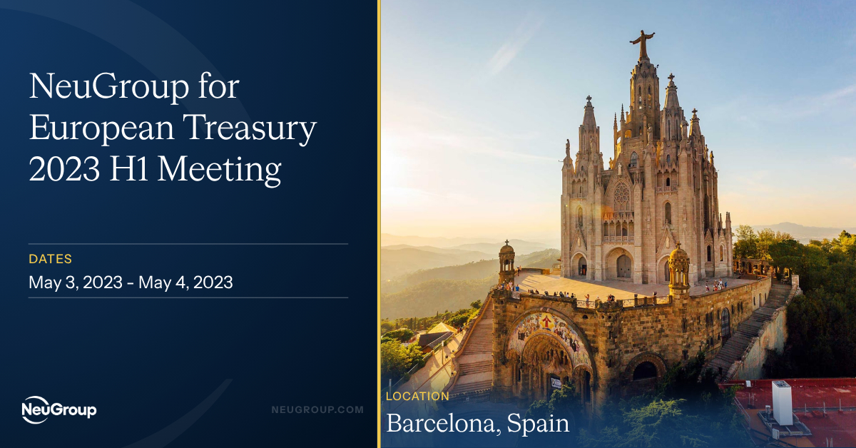 NeuGroup for European Treasury 2023 H1 Meeting