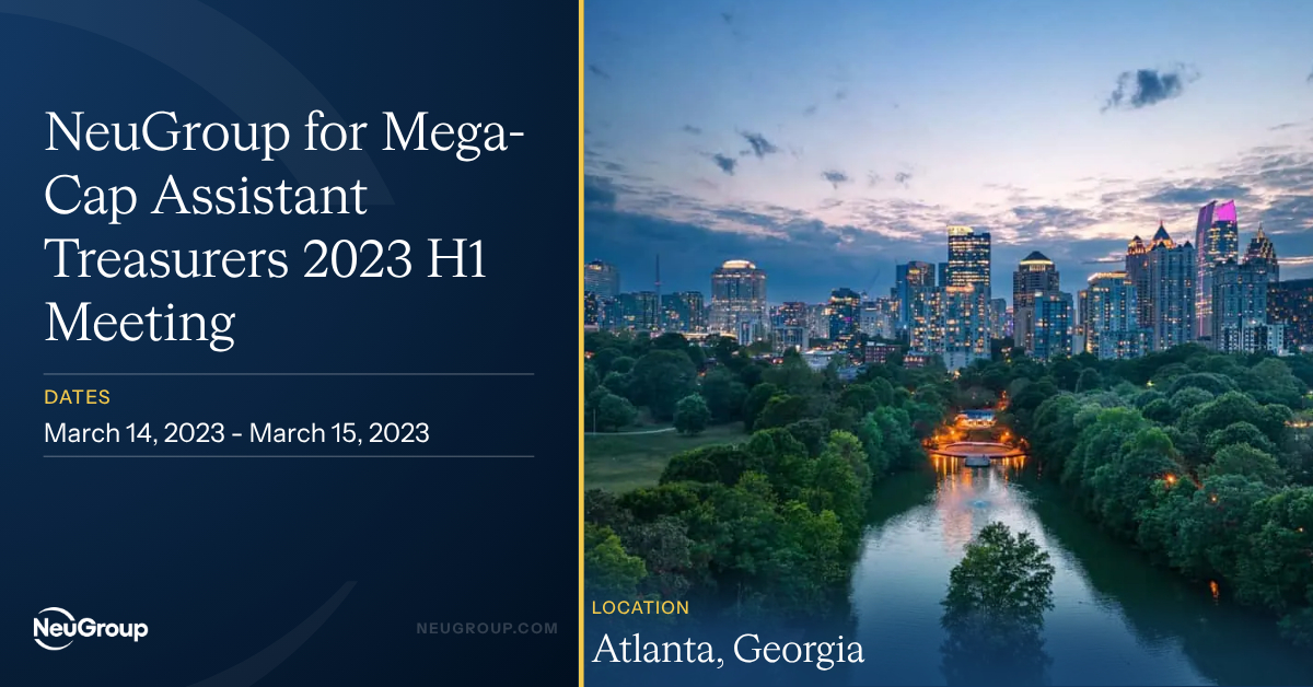 NeuGroup for Mega-Cap Assistant Treasurers 2023 H1 Meeting