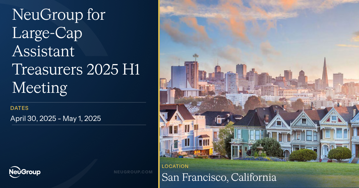 NeuGroup for Large-Cap Assistant Treasurers 2025 H1 Meeting