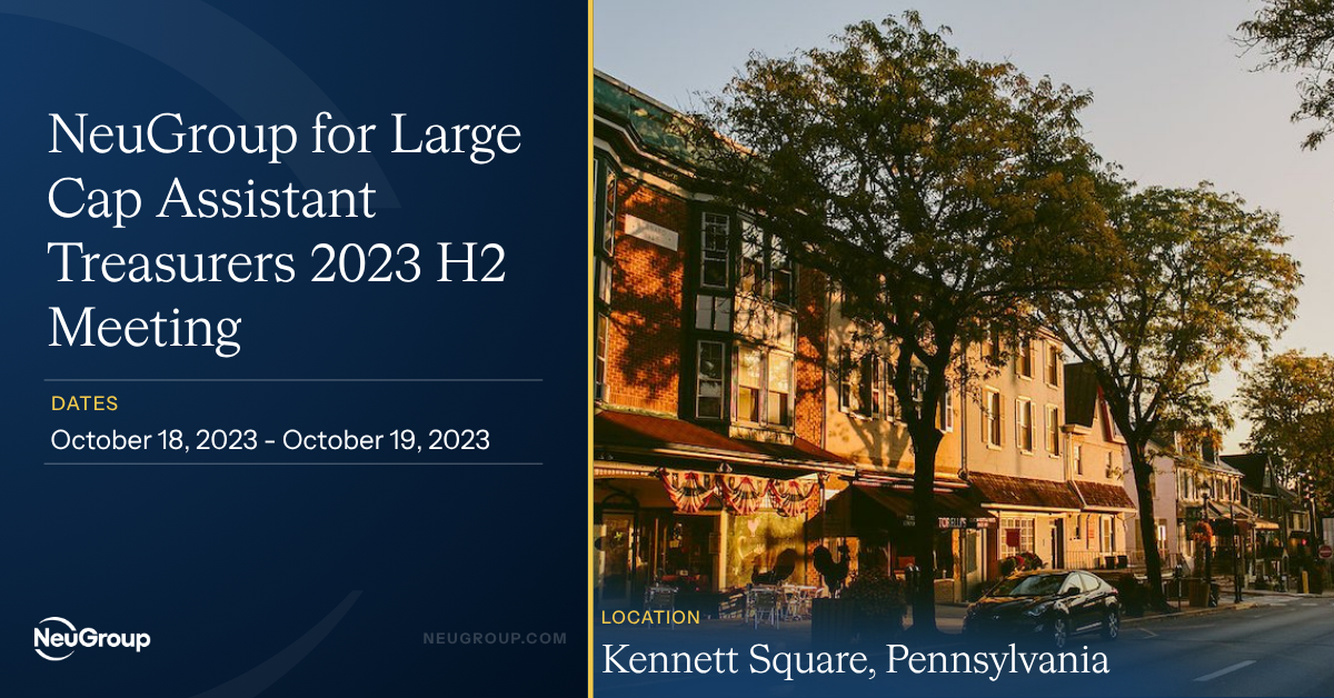 NeuGroup for Large Cap Assistant Treasurers 2023 H2 Meeting