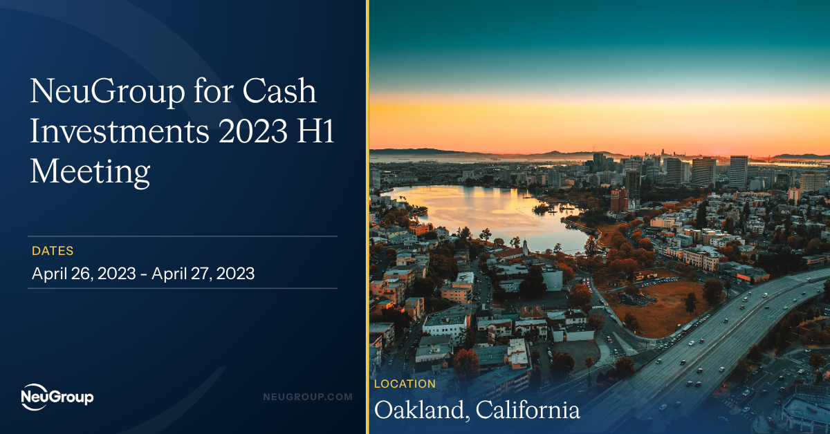 NeuGroup for Cash Investments 2023 H1 Meeting