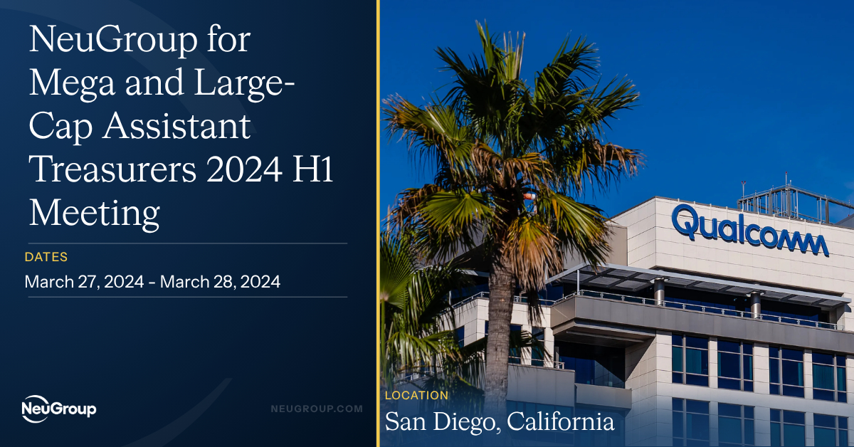 NeuGroup for Mega and Large-Cap Assistant Treasurers 2024 H1 Meeting