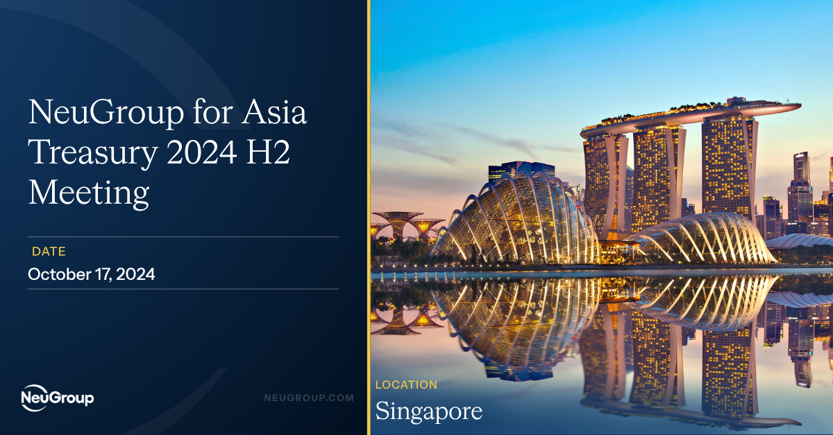 NeuGroup for Asia Treasury 2024 H2 Meeting