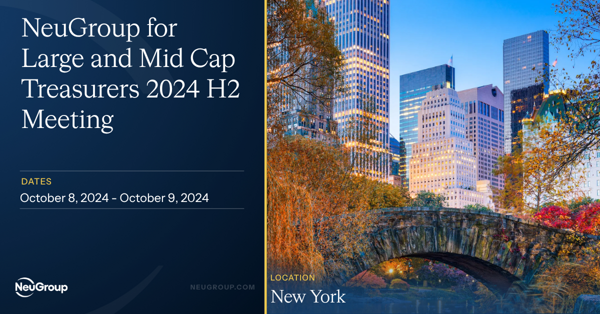NeuGroup for Large and Mid Cap Treasurers 2024 H2 Meeting