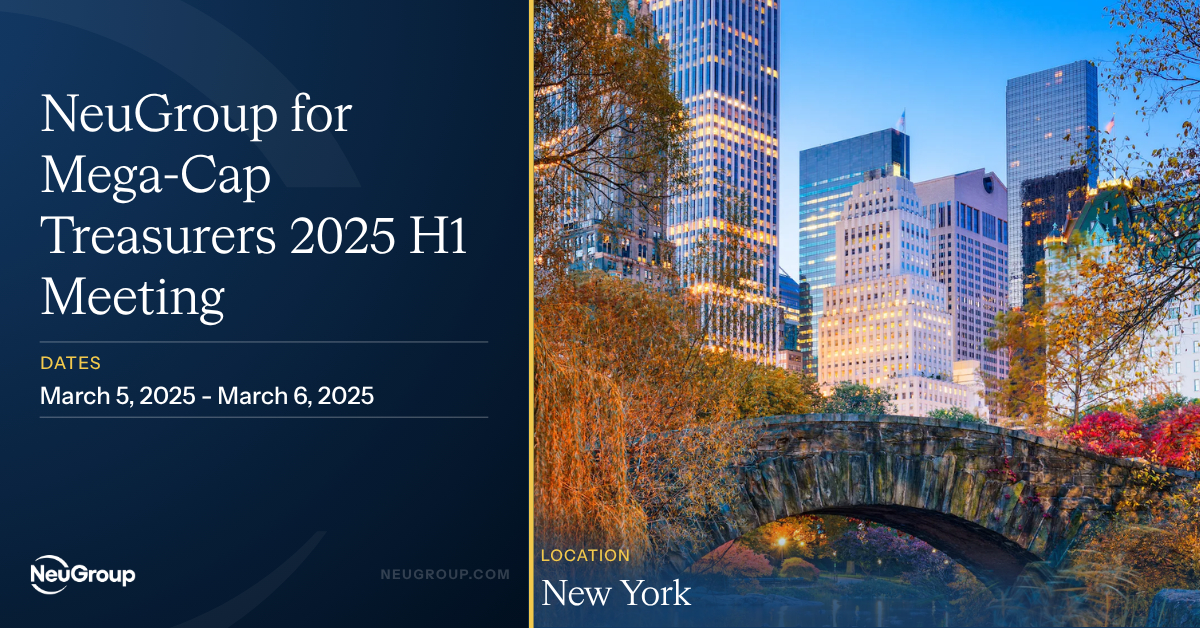 NeuGroup for Mega-Cap Treasurers 2025 H1 Meeting
