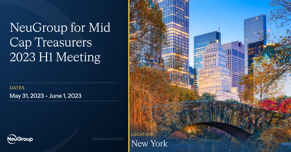 NeuGroup for Mid Cap Treasurers 2023 H1 Meeting