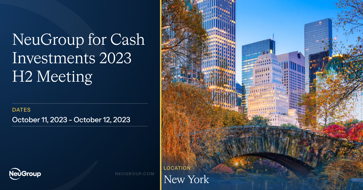 NeuGroup for Cash Investments 2023 H2 Meeting