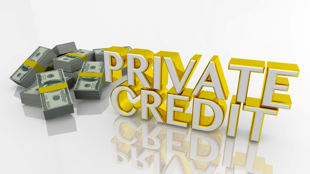 Private Credit in DC Plans: Opportunity, Structure and Liquidity