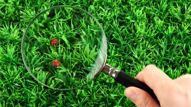 A Closer Look: ESG Ratings, KPIs and Second-Party Opinions