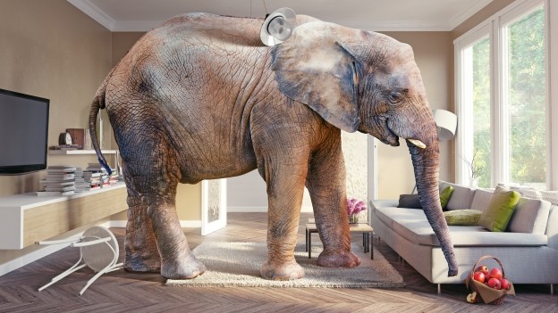 A Finance Treat to Tame the Scope 3 Elephant in the Climate Room