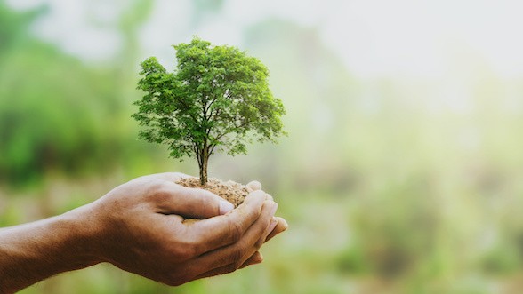 A Green Bond Deal With Environmental and Social Benefits