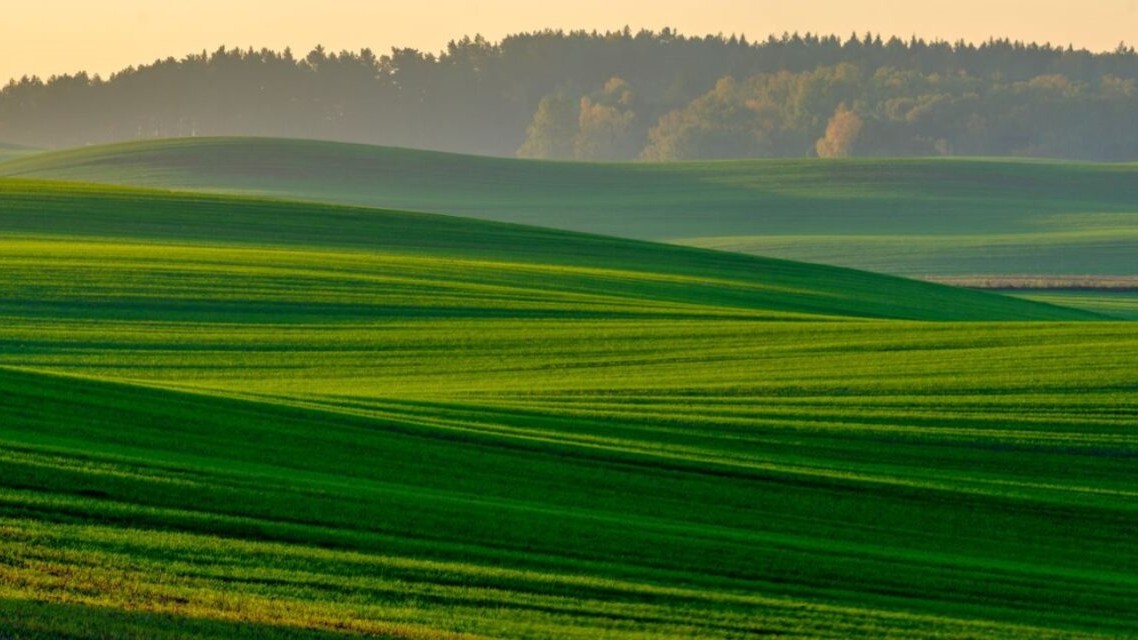 A New Approach for Corporates Reducing Carbon Footprints: Investing in Renewable Energy Private Equity Strategies