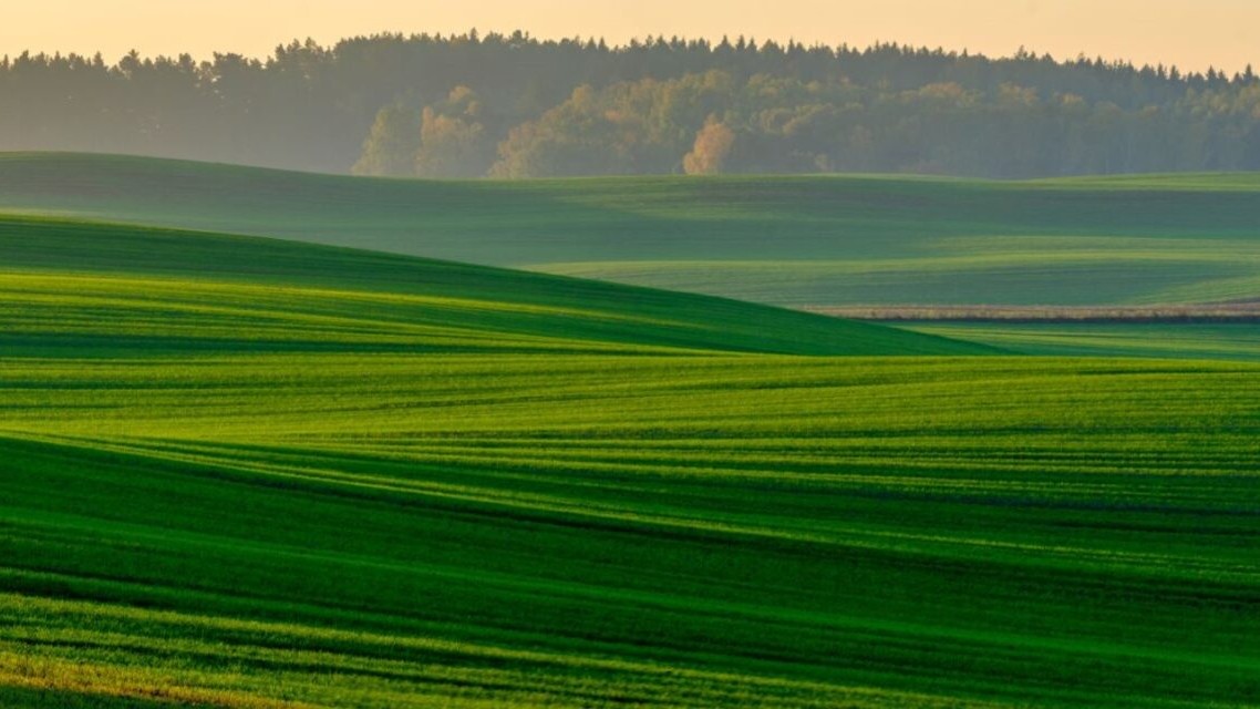 A New Approach for Corporates Reducing Carbon Footprints: Investing in Renewable Energy Private Equity Strategies