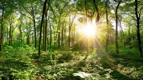 Activist Investors Who Care About More Than One Kind of Green