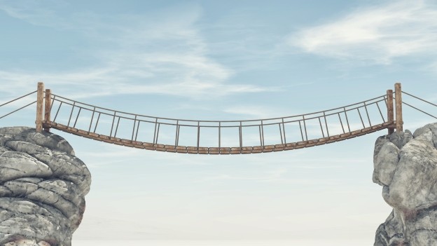 Bridge the Gap or Vive la Différence: Insurers vs. Pension Plans