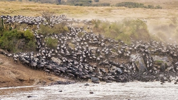 Can the Great Libor Migration Happen?