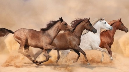 Cash Leadership Councils: Leading the Charge to a Cash Culture