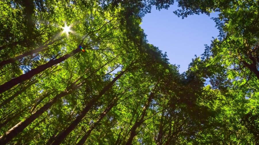 Celebrating Earth Day With Informed Action